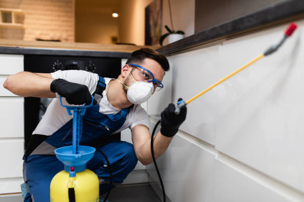 Best Termite Control Services  in Lansdowne, PA