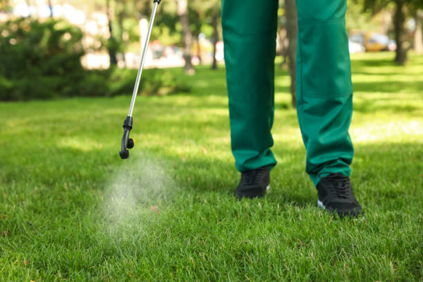 Best Affordable Pest Control Services  in Lansdowne, PA
