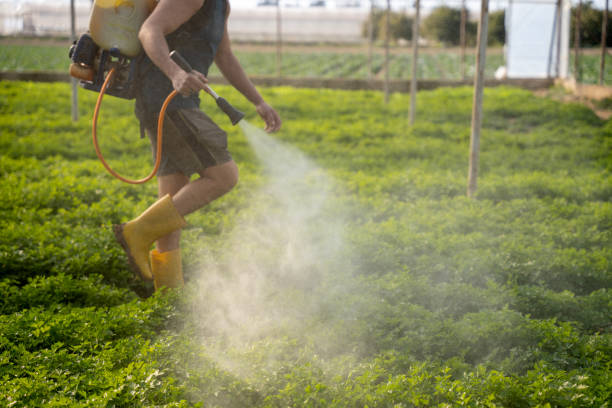Reliable Lansdowne, PA Pest Control Solutions