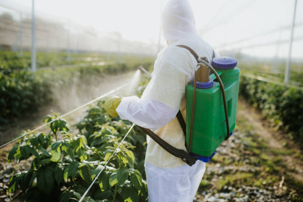 Professional Pest Control in Lansdowne, PA